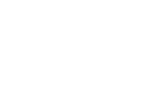Brämig & Stehling GmbH