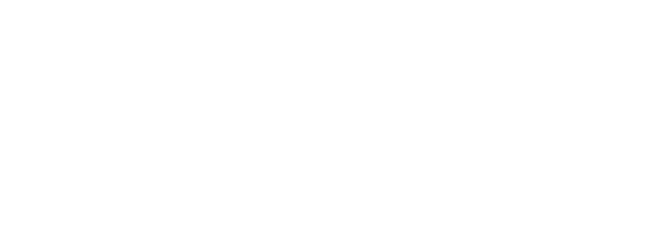 JANUS Engineering AG