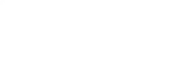 DISPLAY VISIONS GmbH